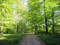 Walk-R19_011