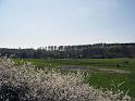 Walk-R20_007