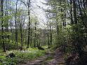Walk-R20_009