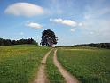 Walk-R21_003