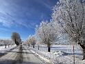 Walk-R21_005