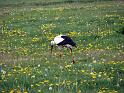 Walk-R21_057