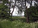 Walk-R24_042