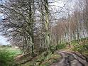 Walk-R26_016