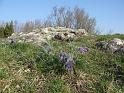 Walk-R29_026