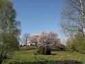 Walk-R2_045
