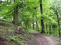 Walk-R3_001