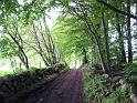 Walk-R3_002
