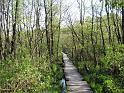 Walk-R4_010