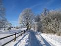 Walk-R5_008