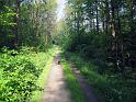Walk-R8_005