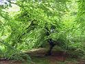 Walk-R8_010