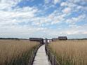 Walk-R9_006