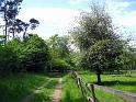 Walk-R9_011