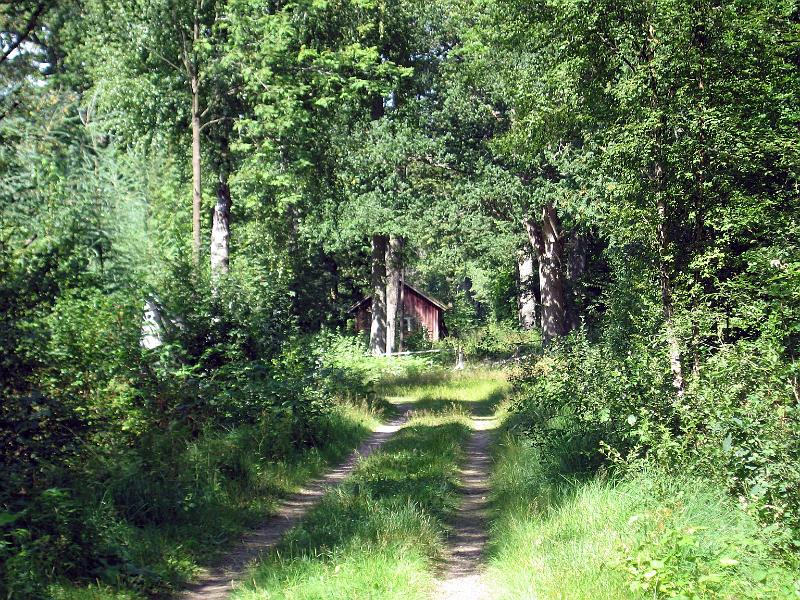 S25-C.jpg