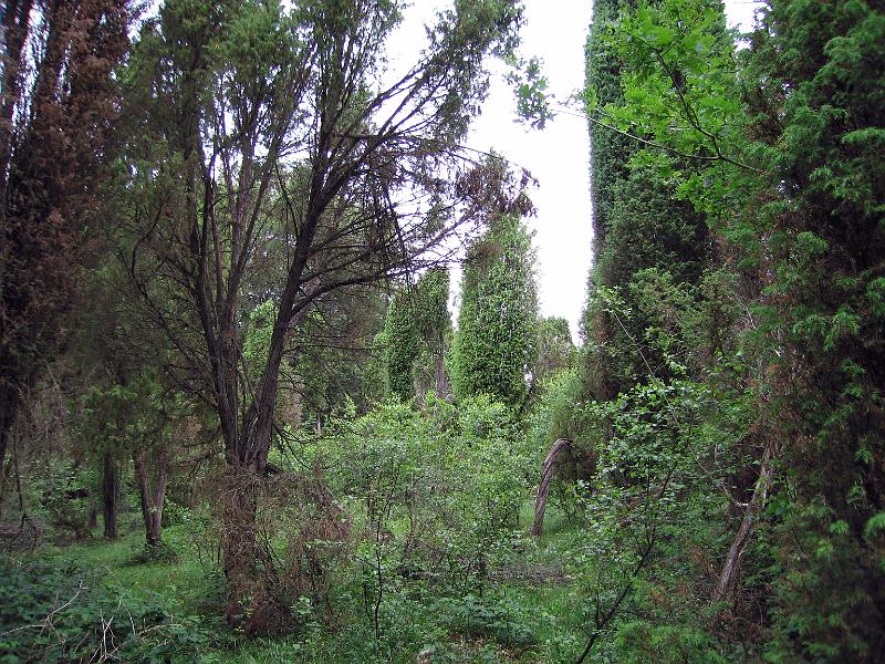 S26-A.jpg