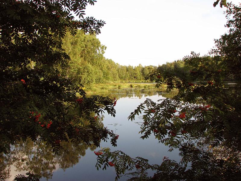 S27-F.jpg