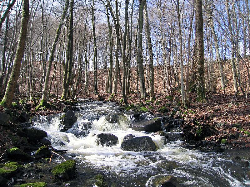 S5-E.jpg