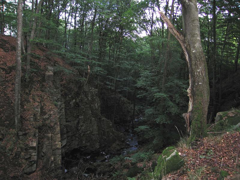 S5-I.jpg