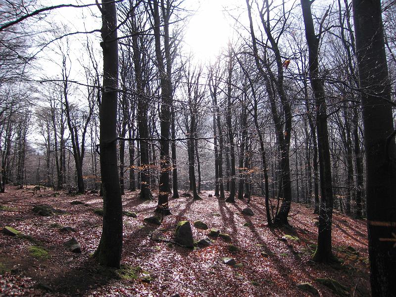 S6-A.jpg