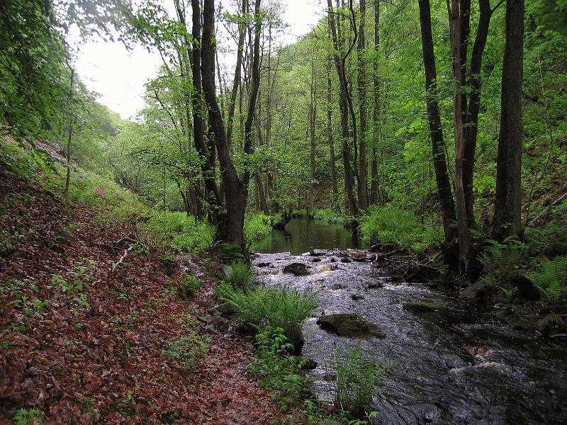 S6-E.jpg