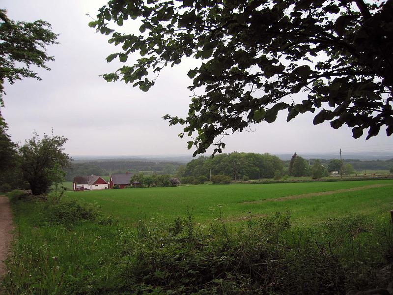S8-A.jpg