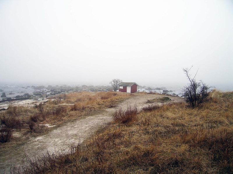 Walk-1-G.jpg