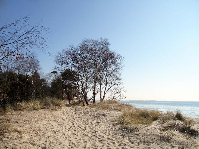 Walk-11-C.jpg