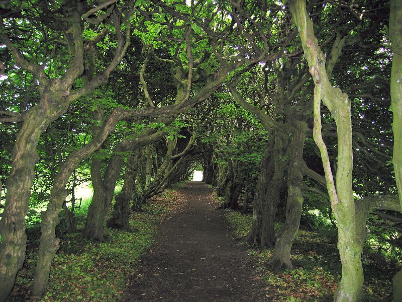 Walk-18-A.jpg