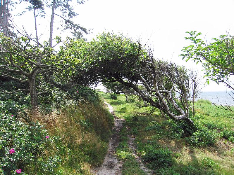 Walk-19-A.jpg