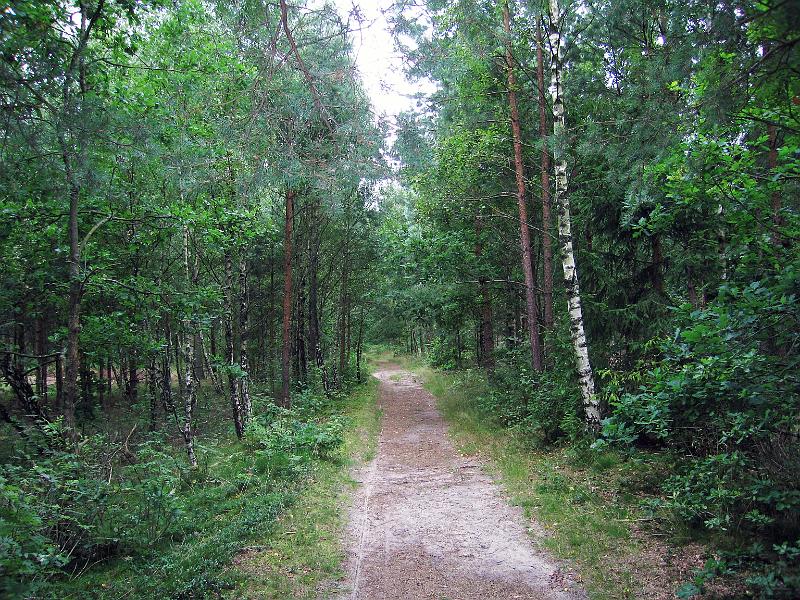 Walk-24-D.jpg