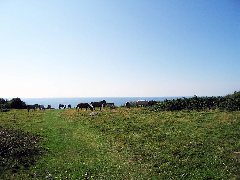 Walk-28-H.jpg