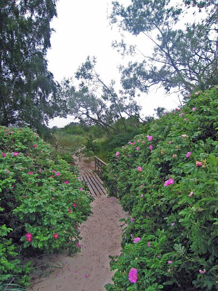 Walk-3-B.jpg