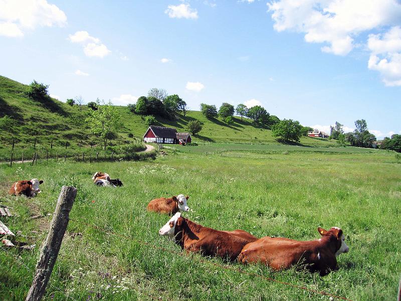 Walk-5-A.jpg