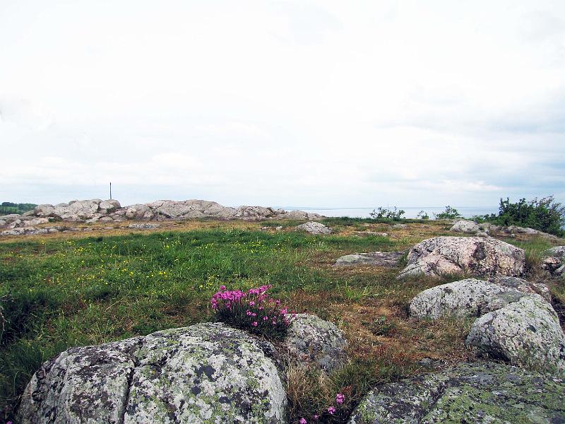 Walk-6-E.jpg