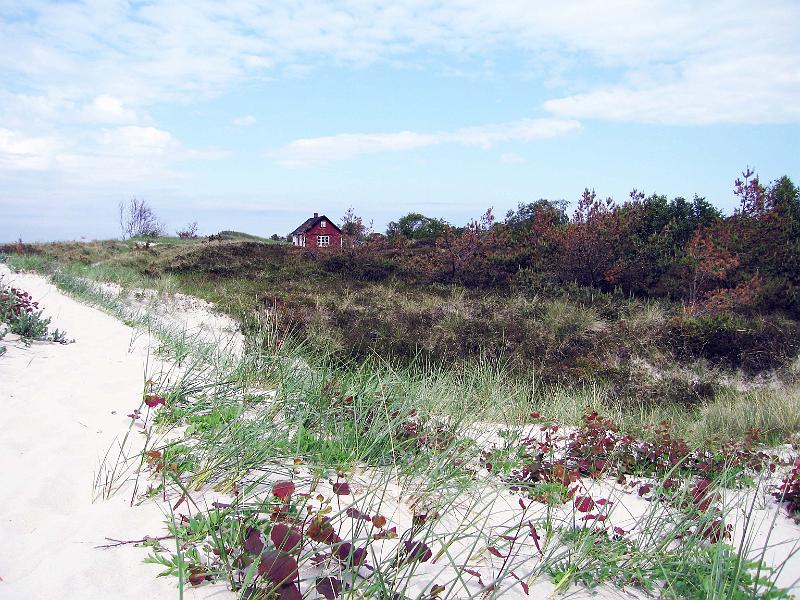 Walk-9-F.jpg