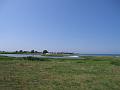 Walk-13_001