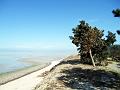 Walk-15-B