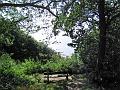 Walk-18-B
