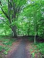 Walk-18-E