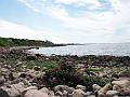 Walk-21-E