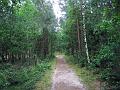 Walk-24-D