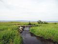 Walk-25-B