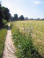 Walk-4-F