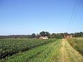 Walk-4-M
