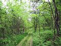 Walk-8-B