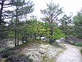 Walk-8-C