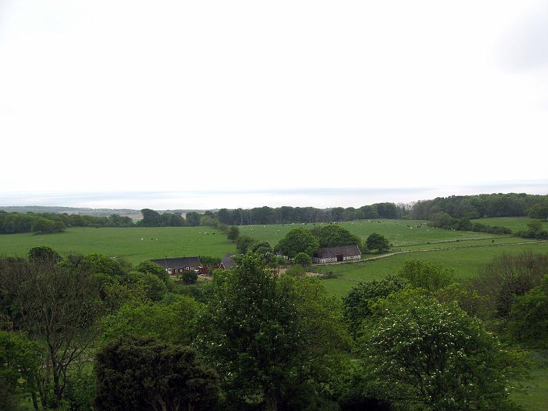 G4-G.jpg