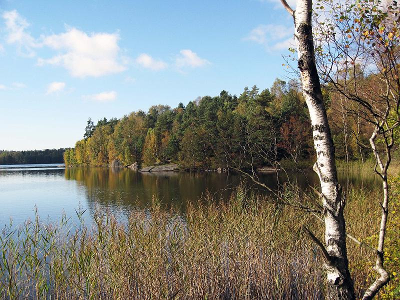 G6-D.jpg