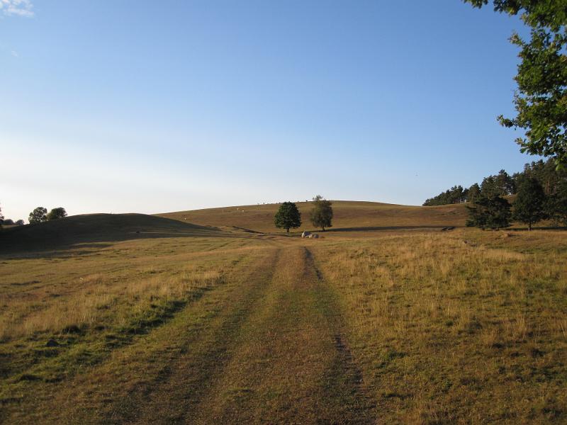 RP10_14.JPG